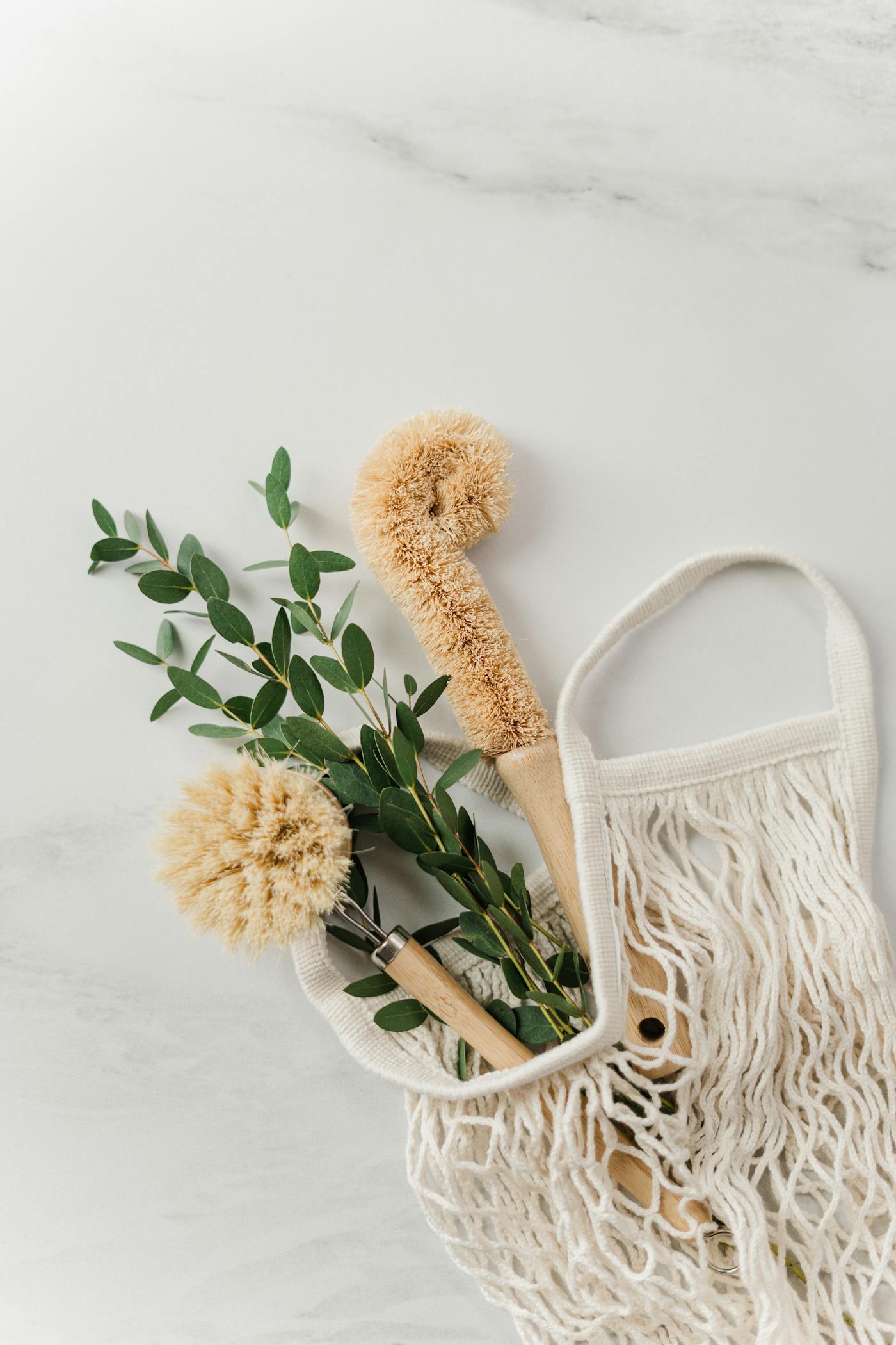 Natural cleaning brushes and eucalyptus on a marble bench